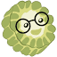 苦瓜书盘 官方网站 logo