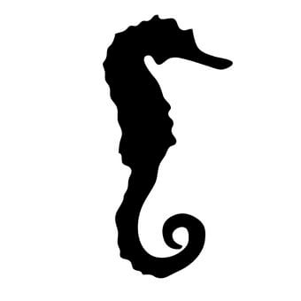 泡面菌 官方网站 logo