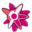AcgnX末日动漫资源库 官方网站 logo